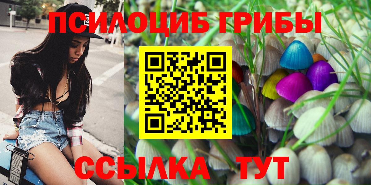 Псилоцибиновые грибы мицелий Ишимбай